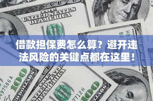 济南借款担保费怎么算？避开违法风险的关键点都在这里！