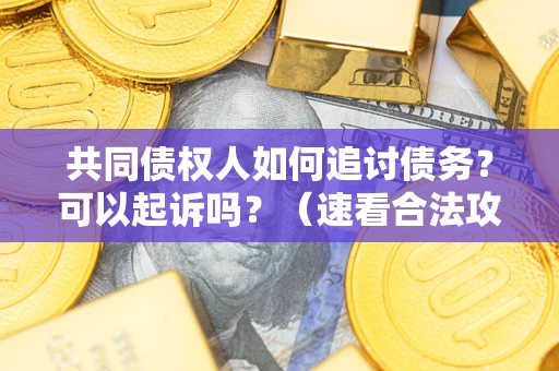 济南共同债权人如何追讨债务？可以起诉吗？（速看合法攻略）