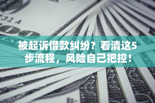 济南被起诉借款纠纷？看清这5步流程，风险自己把控！