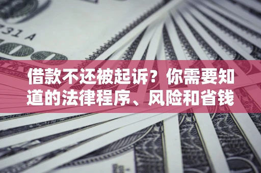 济南借款不还被起诉？你需要知道的法律程序、风险和省钱技巧